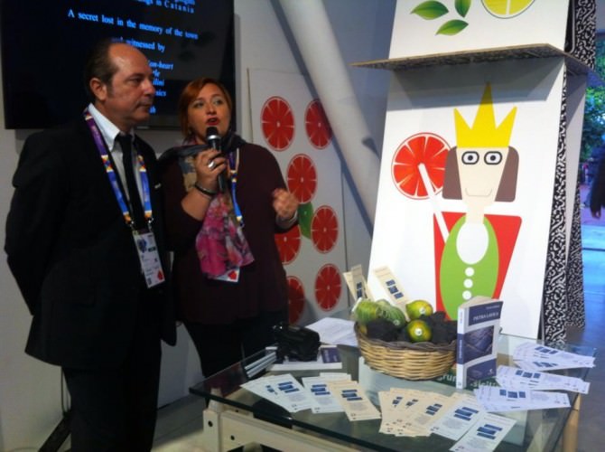 Pietra lavica milano