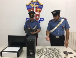 arresto-paterno
