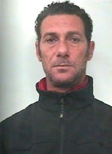 rocco D'Aloisio