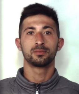 pavia angelo