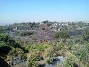 La Riserva brucia (4)